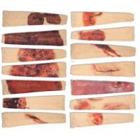 Simulácia traumy RAPID